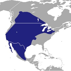 Badger Range