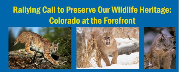 Colorado at the Forefront