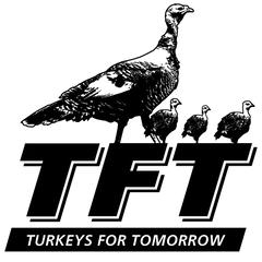 Turkeys for Tomorrow